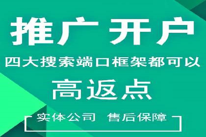 成功SEM竞价托管案例分析报告